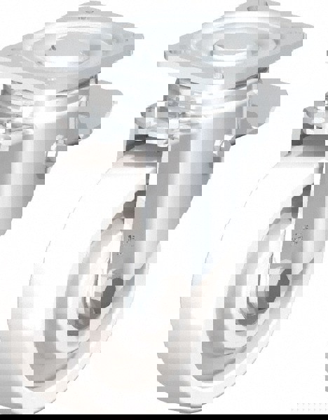 Swivel Top Plate Caster: Nylon, 5