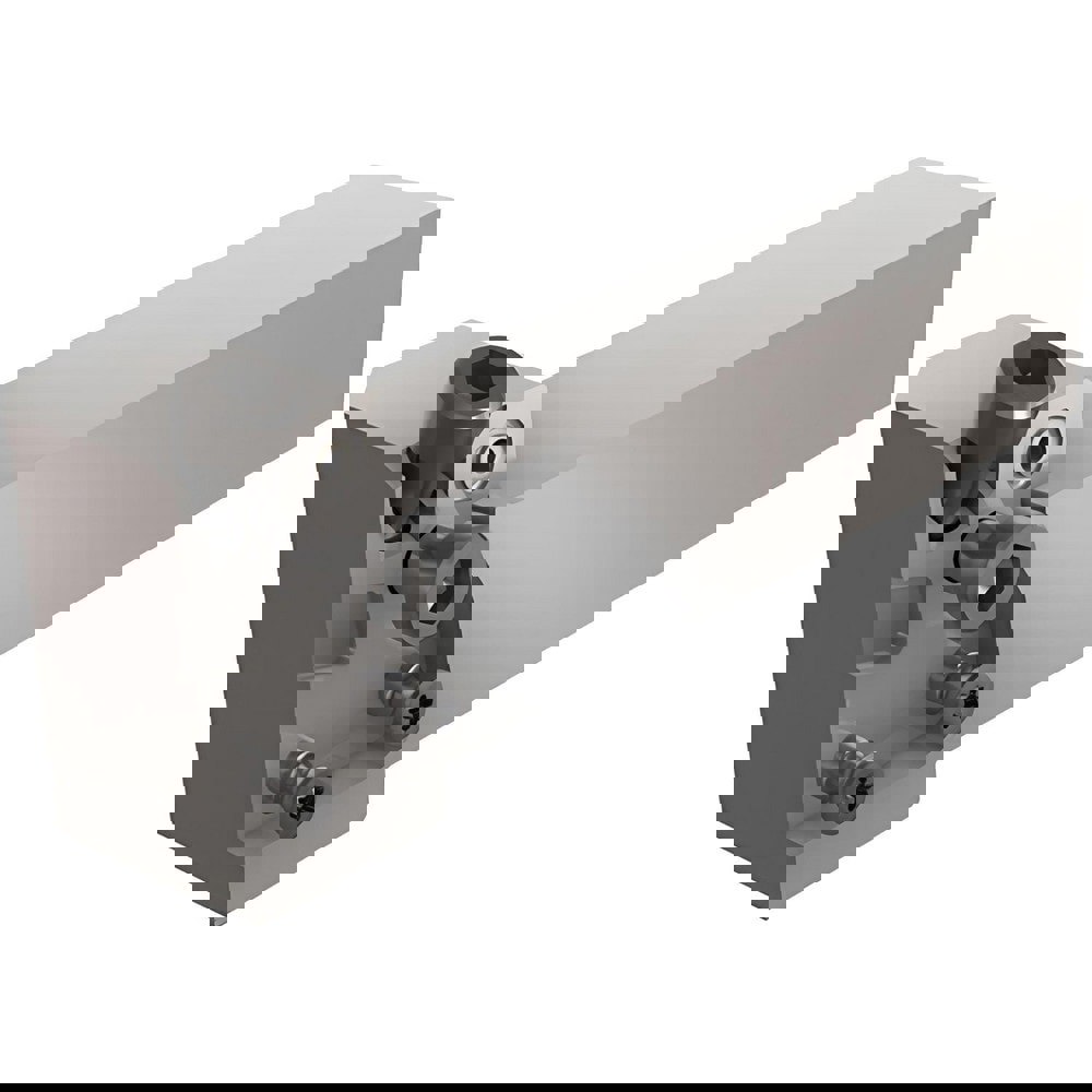 Indexable Grooving Toolholder: