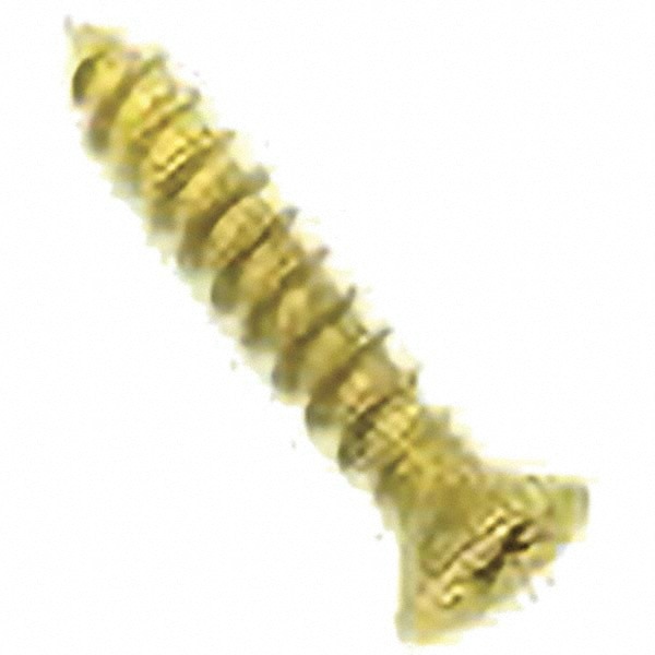 #9 Brass Hinge Screws