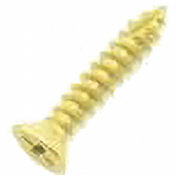 #9 Brass Hinge Screws