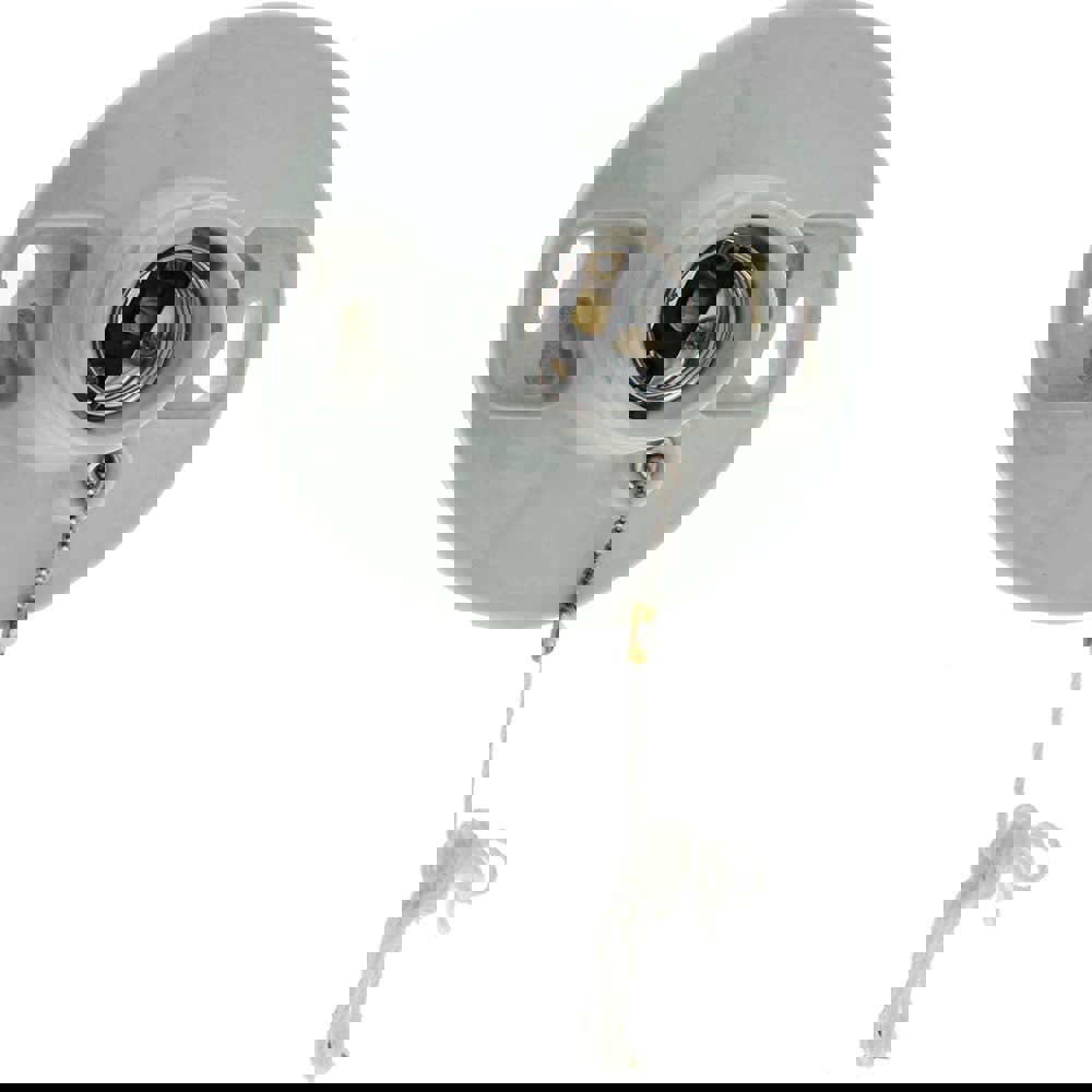 2 Pin, 250 VAC, 250 Watt, Medium Base, Pull Chain Lamp Holder