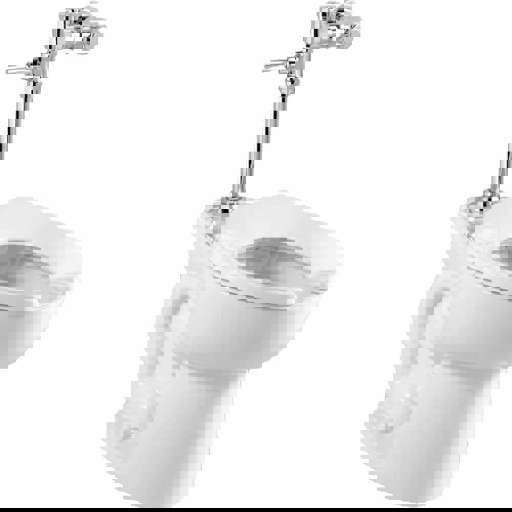 Toilets; Bowl Shape: Elongated