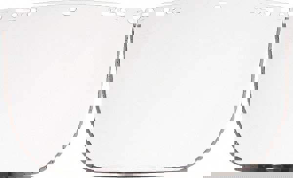 Face Shield Windows & Screens: Replacement Window, Clear, 8