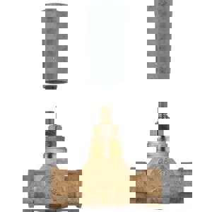 1/2 NPT FEM WM RI VLV