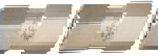 Instrument Check Valve Ss