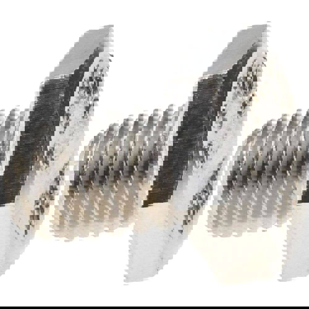 Hex Head Cap Screw: 1/4-20 x 3/8