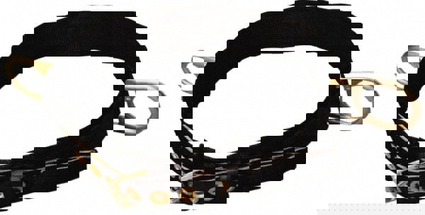 Body Belts; Belt Size: X-Large ; Webbing Material: Nylon ; Buckle Type: Tongue ; Comfort Pad: Yes