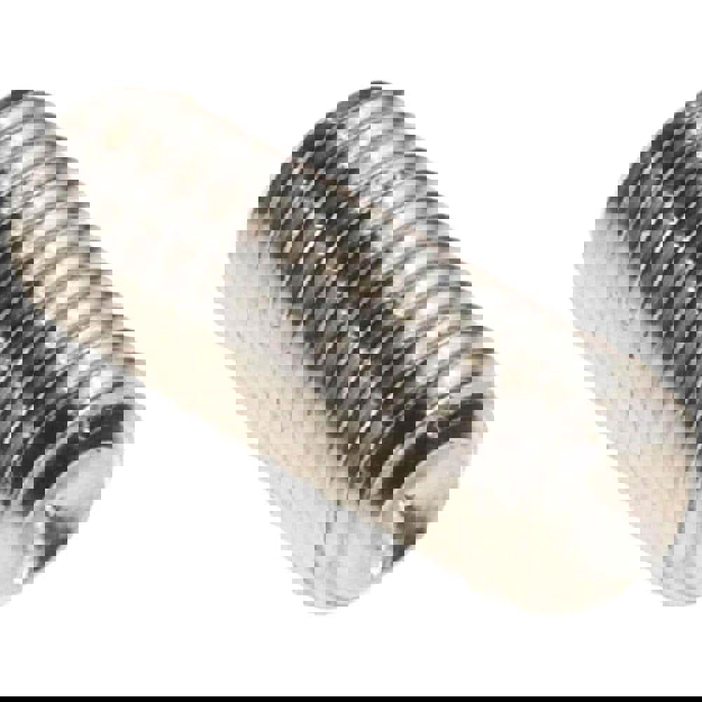 Set Screw: #5-40 x 3/8