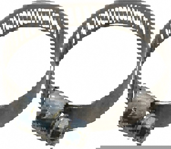 Worm Gear Clamp: SAE 16, 11/16 to 1-1/2