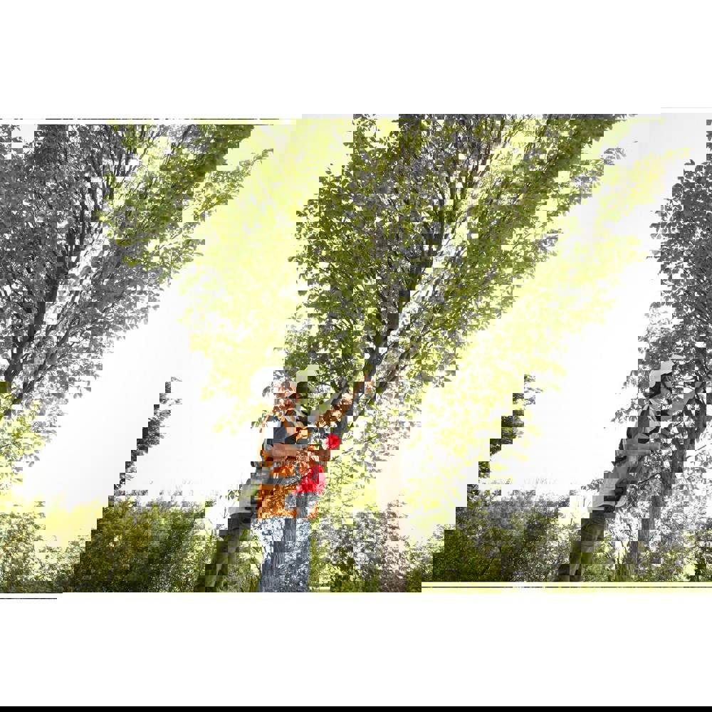 Loppers, Hedge Shears & Pruners; Product Type: Pruner ; Blade Length (Inch): 3in ; Cutting Capacity: 1.75in ; Blade Material: Steel ; Blade Length: 3in ; Overall Length: 84.00in