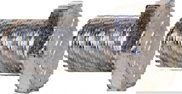 Hex Head Cap Screw: 1/2-13 x 1-1/4