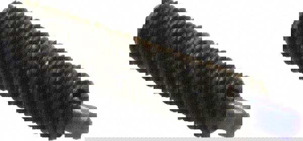 Threaded Spring Plunger: #10-32, 3/4