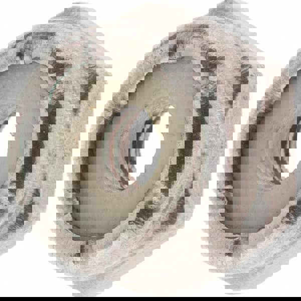 Hex Lock Nut: Insert, Nylon Insert, Grade 316 Stainless Steel