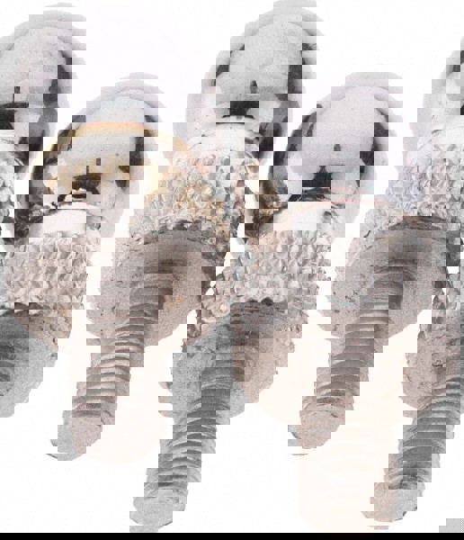 Drop Indicator Ball Contact Point: #4-48