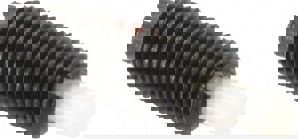 Threaded Spring Plunger: 1/4-20, 5/8