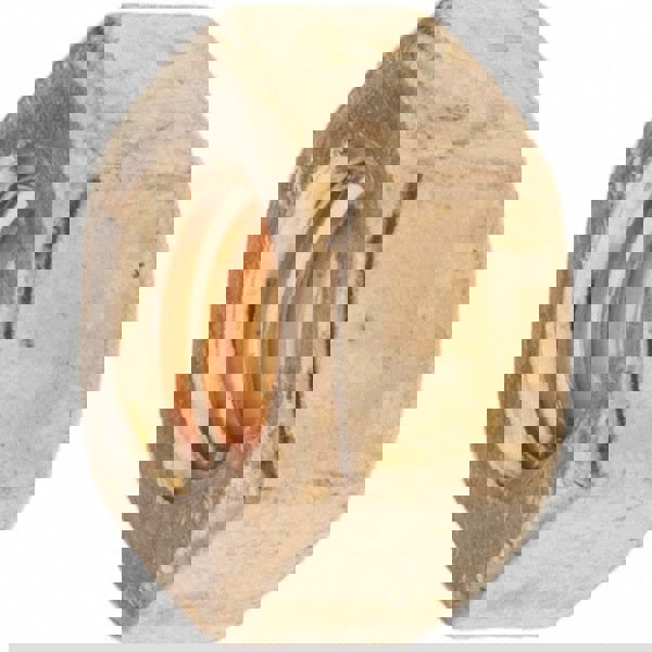 Hex Nut: 1/4-20, Silicon Bronze