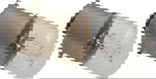 2 Watt, Incandescent Miniature & Specialty T3-1/4 Lamp