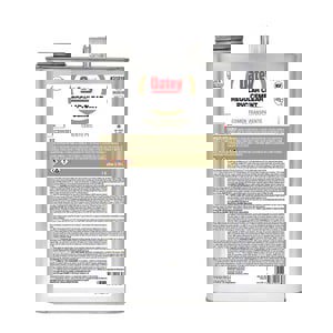 1 GAL PVC REG CLR CMNT