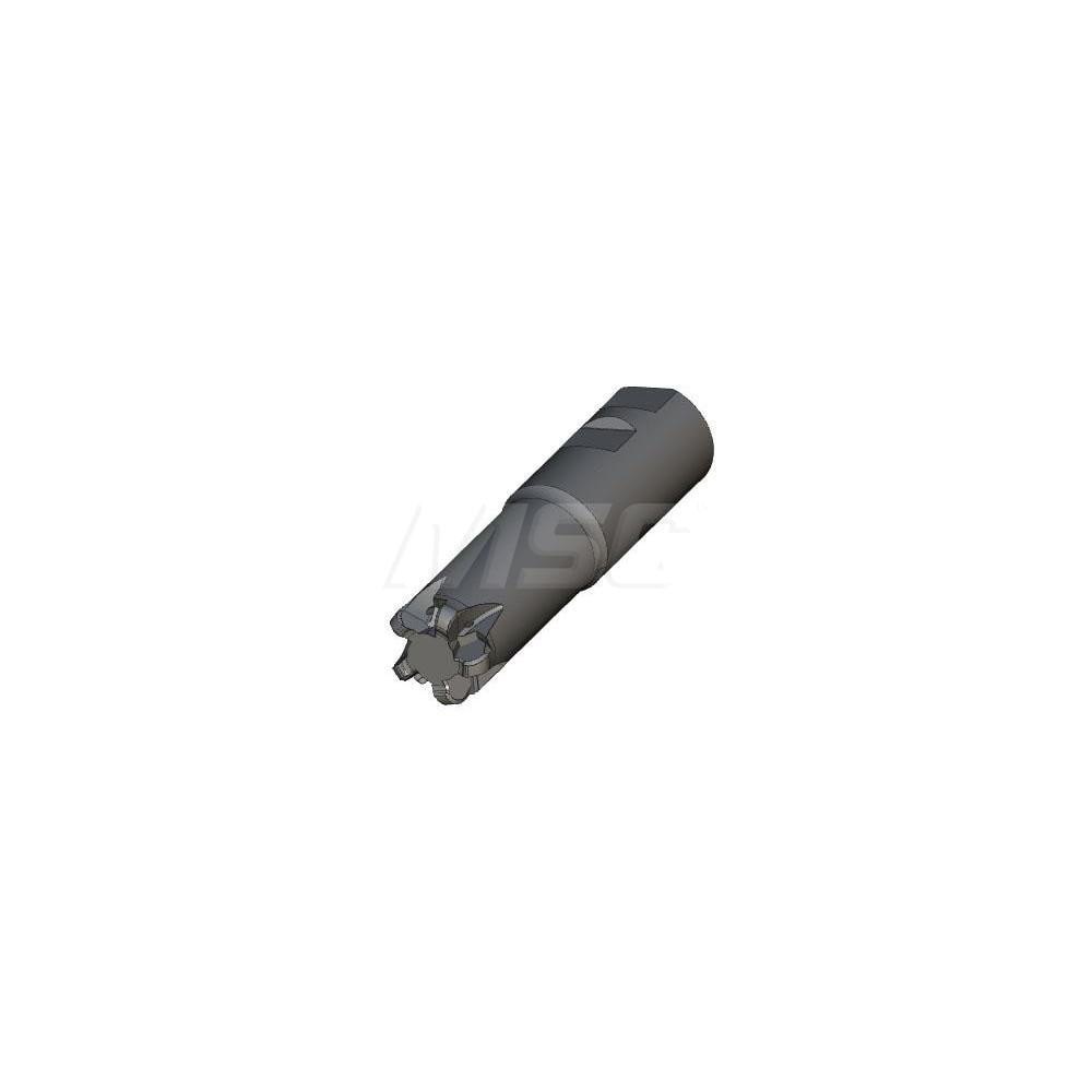 Indexable Copy End Mill: 0.78 to 1-1/4