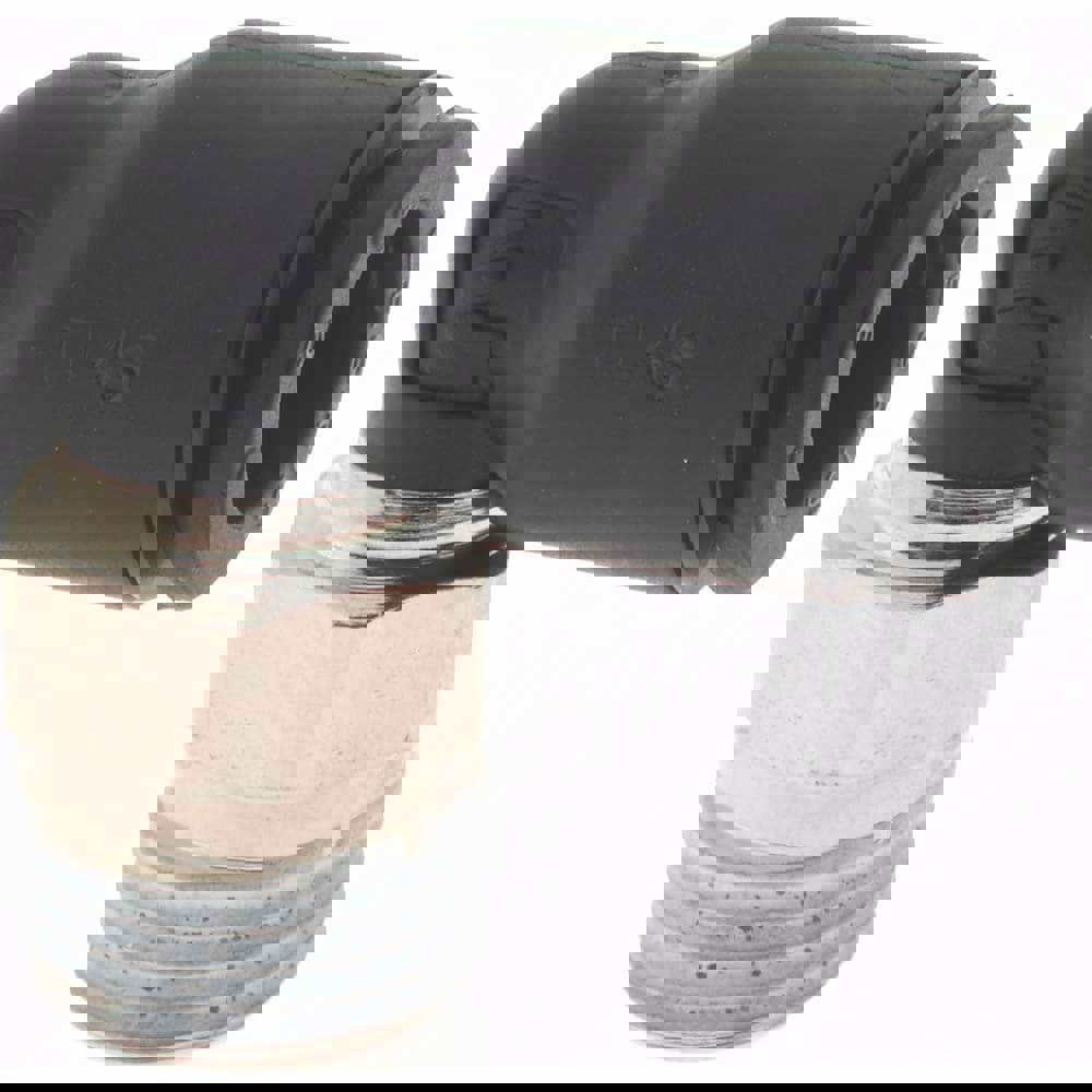 Push-To-Connect Tube to Male BSPT Tube Fitting: Male Elbow, 1/8