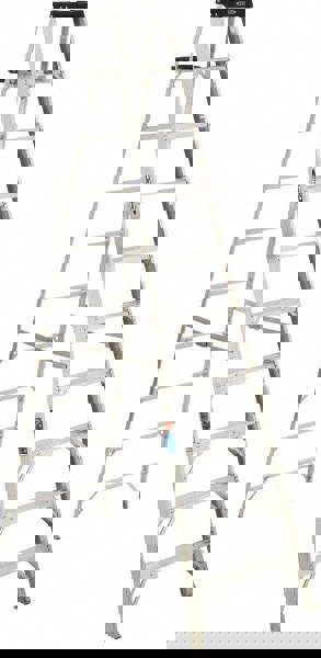 9-Step Aluminum Step Ladder: Type IA, 300 lb Capacity, 10' High