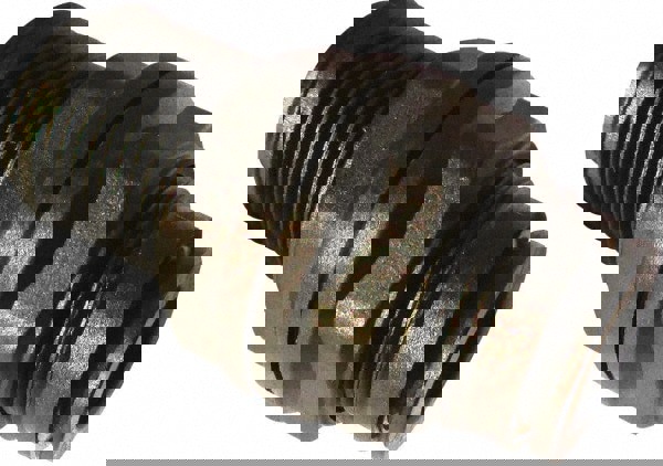 Push-To-Connect Tube to Tube Tube Fitting: Bulkhead Union