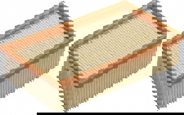 Vacuum Cleaner Cartridge Filter: Dry & Wet Pickup