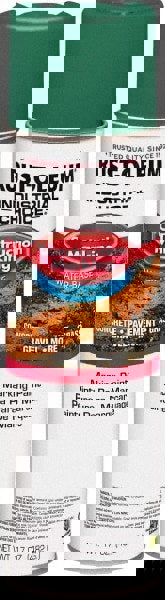 17 fl oz Green Paint & Primer