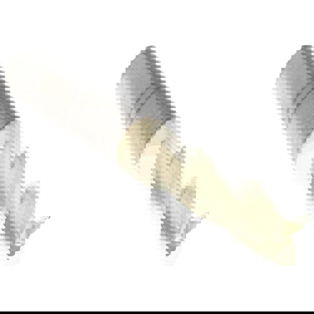 Square End Mill: 11/32