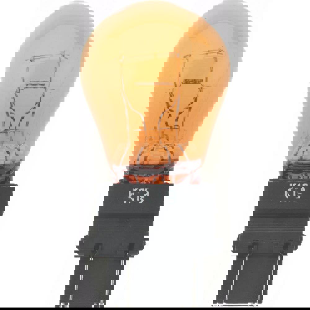 Incandescent Miniature & Specialty S8 Lamp