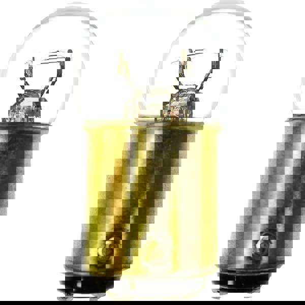 Incandescent Miniature & Specialty S8 Lamp