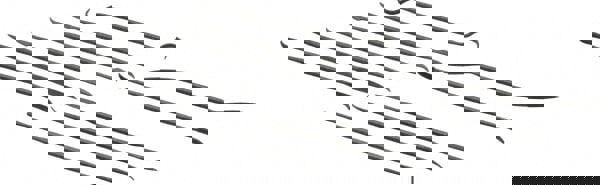 File Set: 12 Pc, Swiss