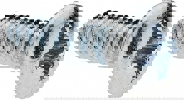 Sheet Metal Screw: #6, Pan Head, Phillips