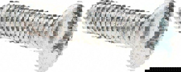 Sheet Metal Screw: #6, Pan Head, Phillips