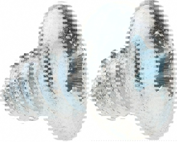 Sheet Metal Screw: #10, Pan Head, Phillips