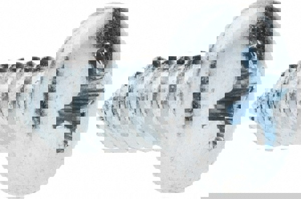 Sheet Metal Screw: #10, Pan Head, Phillips