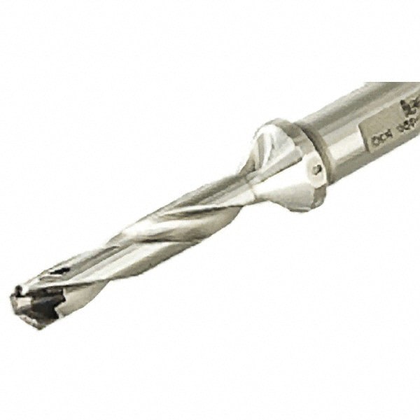 Replaceable-Tip Drill: 30 to 30.9 mm Dia, 90 mm Max Depth, 40 mm Weldon Flat Shank