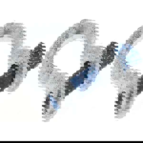 Anchor Shackle: Screw Pin