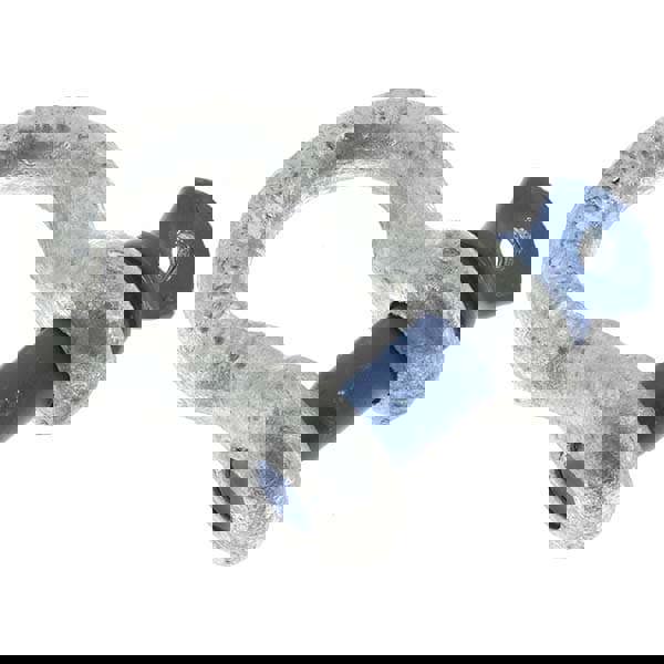 Anchor Shackle: Screw Pin