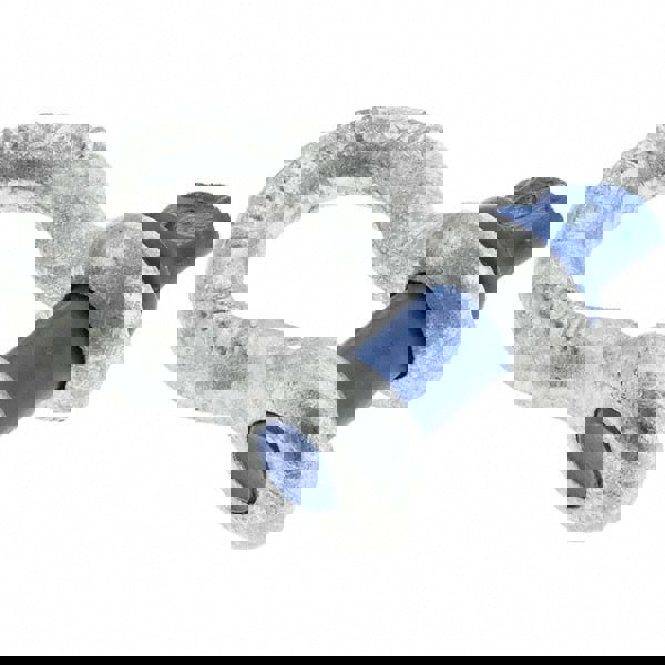 Anchor Shackle: Screw Pin