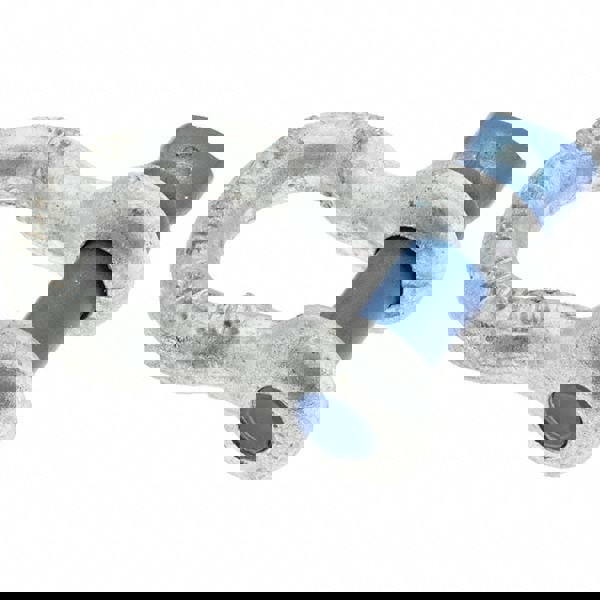 Anchor Shackle: Screw Pin