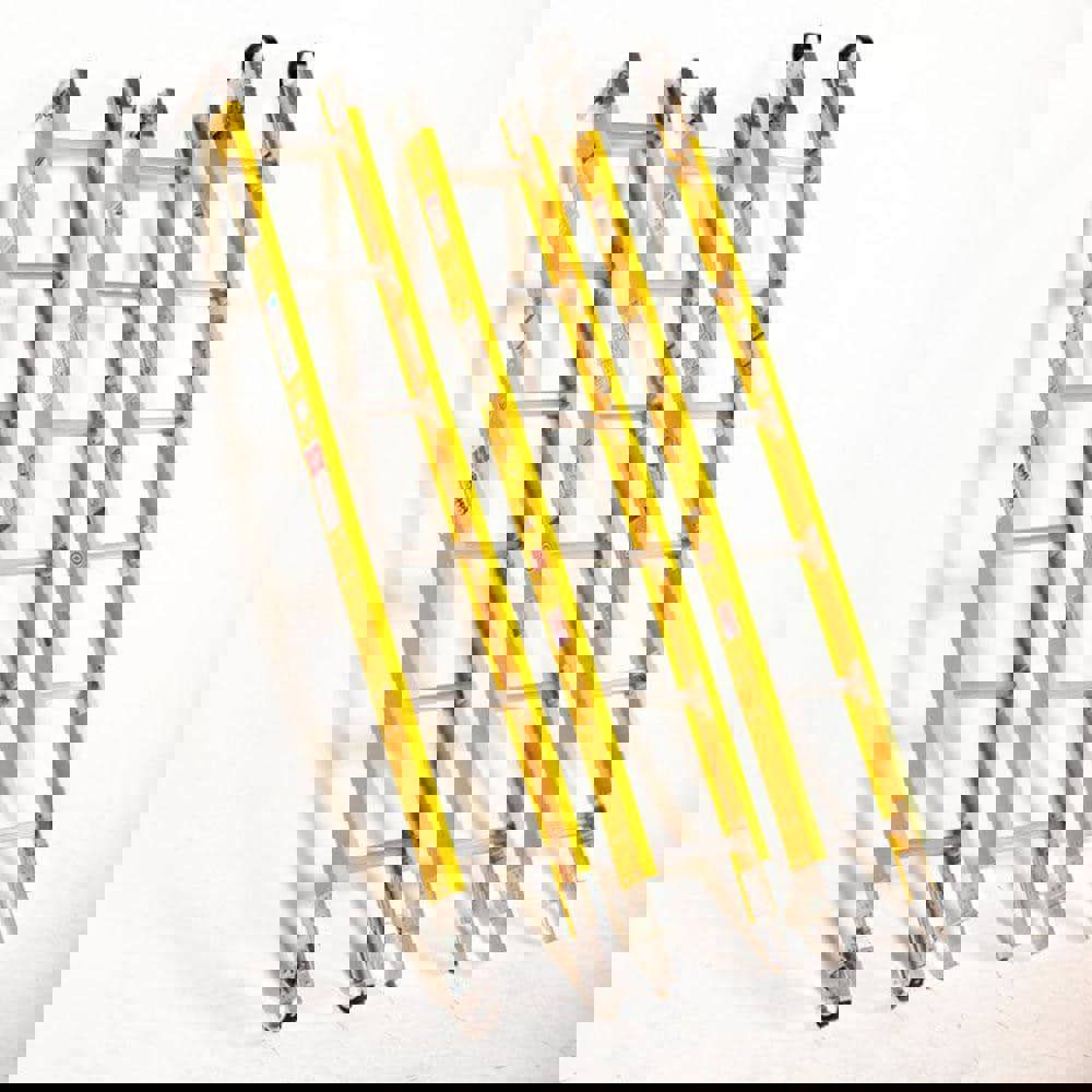 Parallel Rail Sectional Ladder