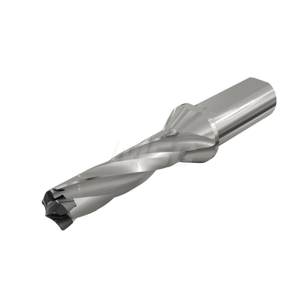 Replaceable-Tip Drill: 16 to 16.9 mm Dia, 51.9 mm Max Depth, 20 mm Weldon Flat Shank
