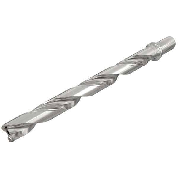 Replaceable-Tip Drill: 33 to 36.9 mm Dia, 393.3 mm Max Depth, 32 mm Weldon Flat Shank