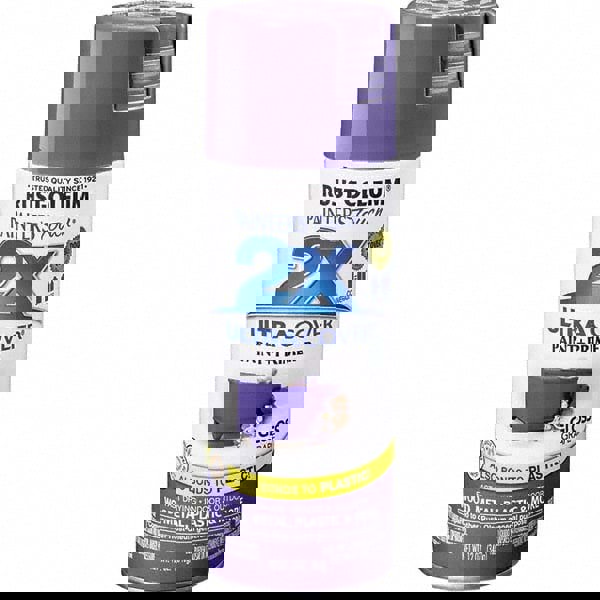 Enamel Spray Paint: Grape, Gloss, 12 oz