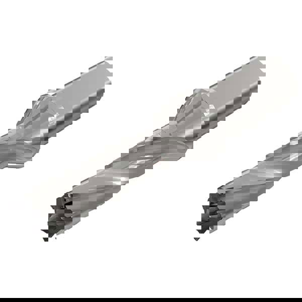 Replaceable-Tip Drill: 16 to 16.9 mm Dia, 57.3 mm Max Depth, 19.05 mm Weldon Flat Shank