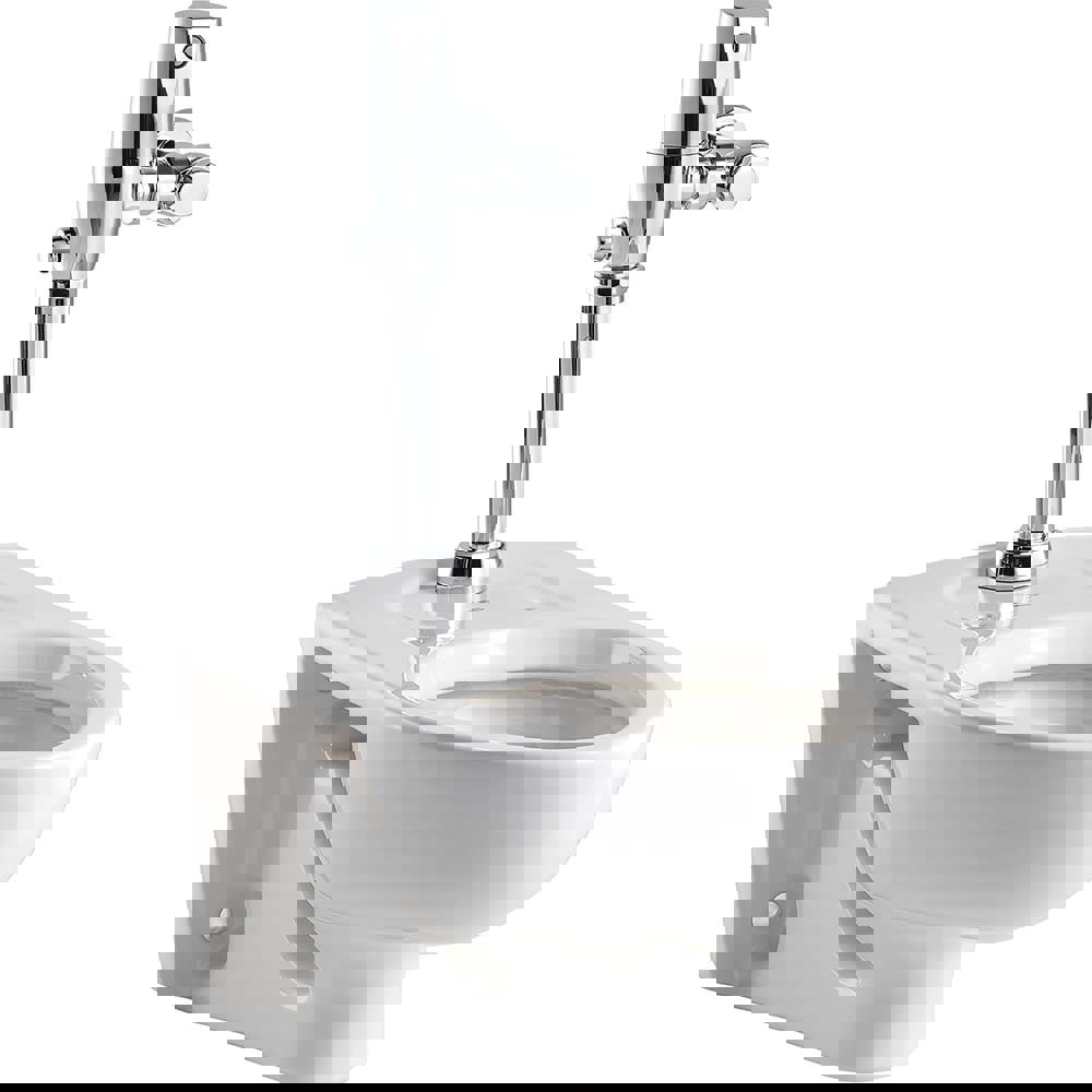 Toilets; Bowl Shape: Elongated