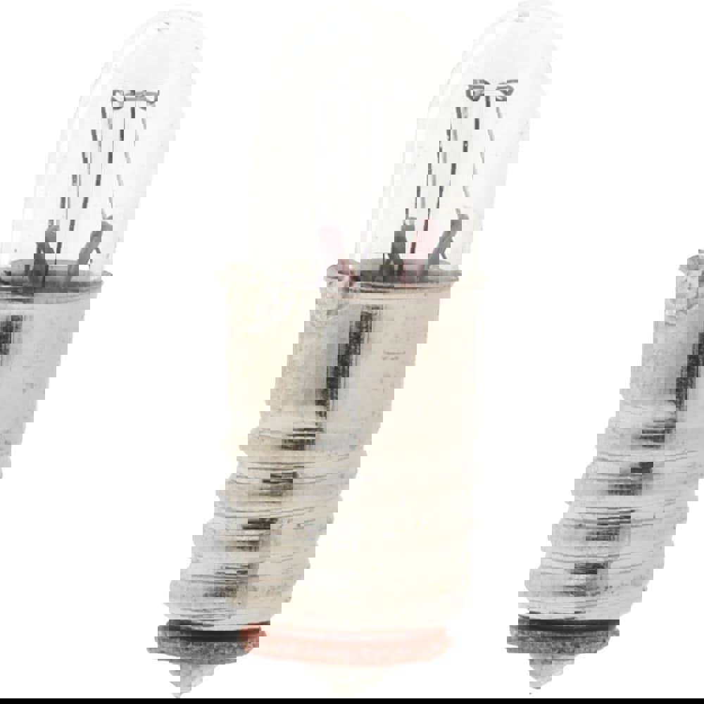 1.12 Watt, 28 Volt, Incandescent Miniature & Specialty T1-3/4 Lamp