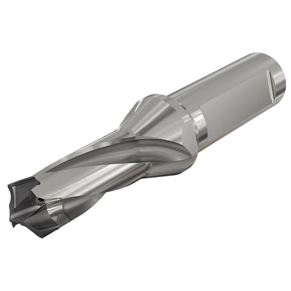 Replaceable-Tip Drill: 17 to 17.9 mm Dia, 32 mm Max Depth, 20 mm Weldon Flat Shank