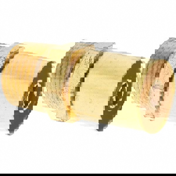 Hydraulic Hose MPT Fitting: Hose Size 6